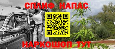 индика Бузулук