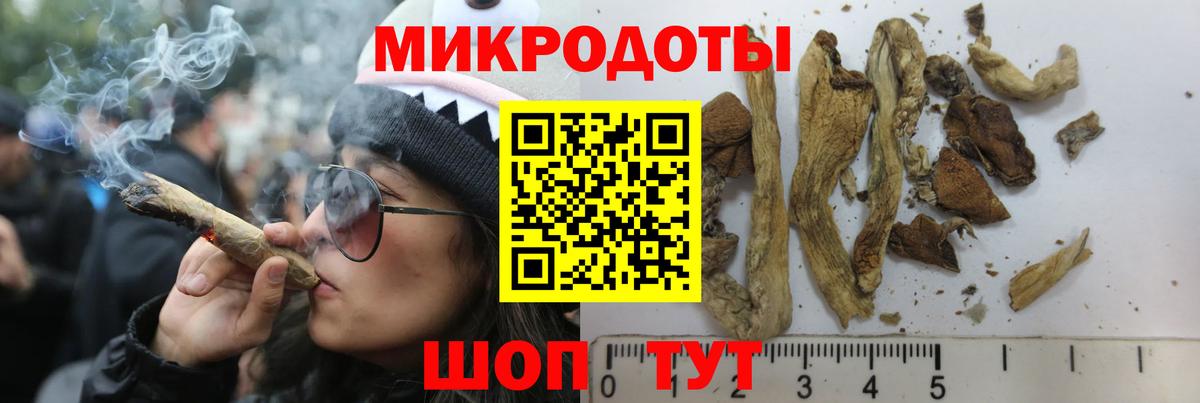 Галлюциногенные грибы Psilocybine cubensis Усолье-Сибирское
